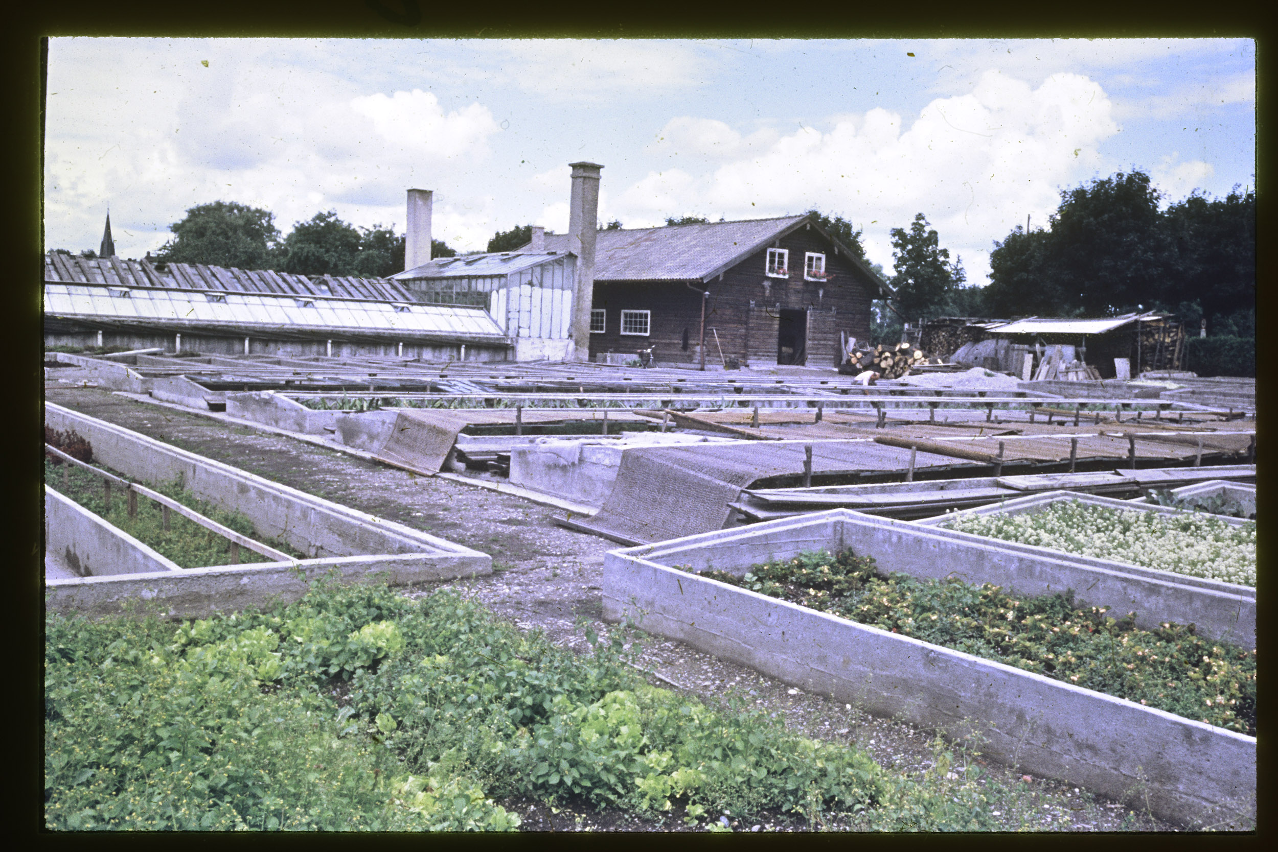 Stadtblick Stadtgärtnerei Rosenheim blüht Kampagnen rosenheim.jetzt