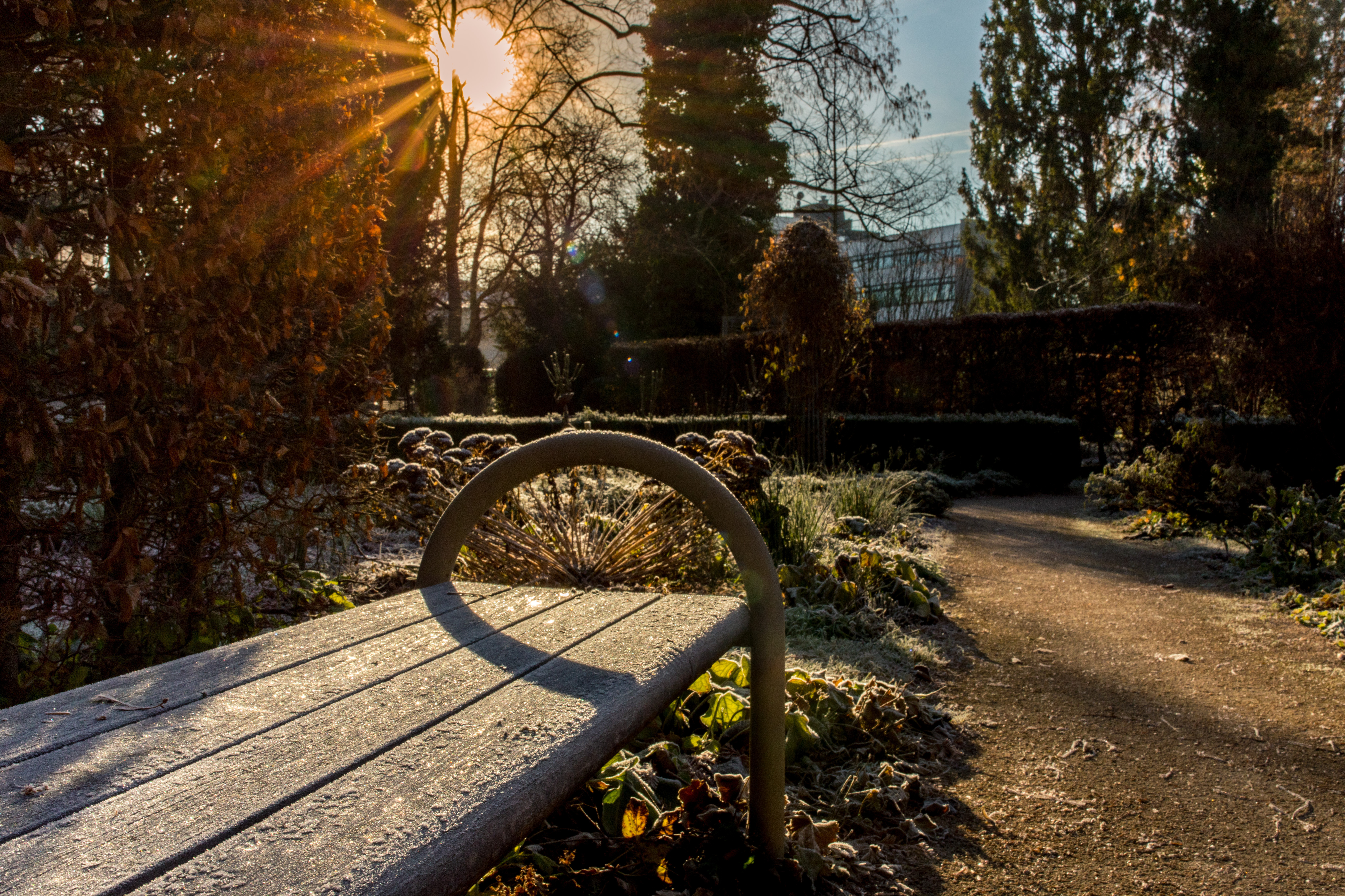 Winterliche Aufnahme Riedergarten.