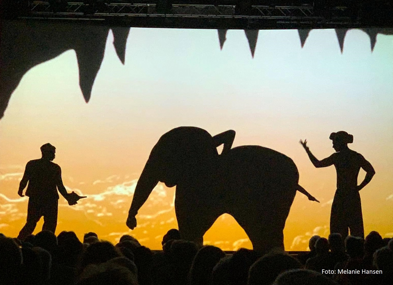 AMAZING SHADOWS - Shadow Theatre Delight