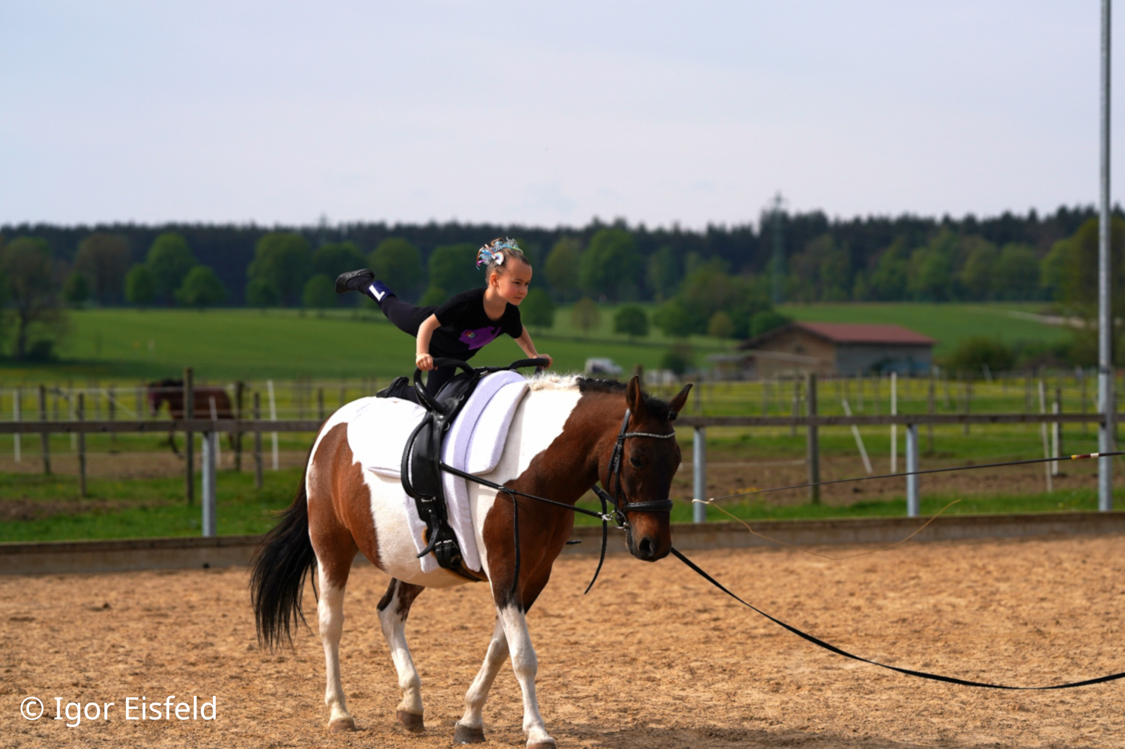 Voltigierverein Rosenheim e.V.