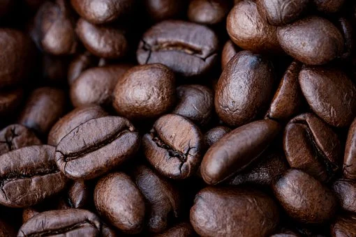 Workshop: Barista Kurs