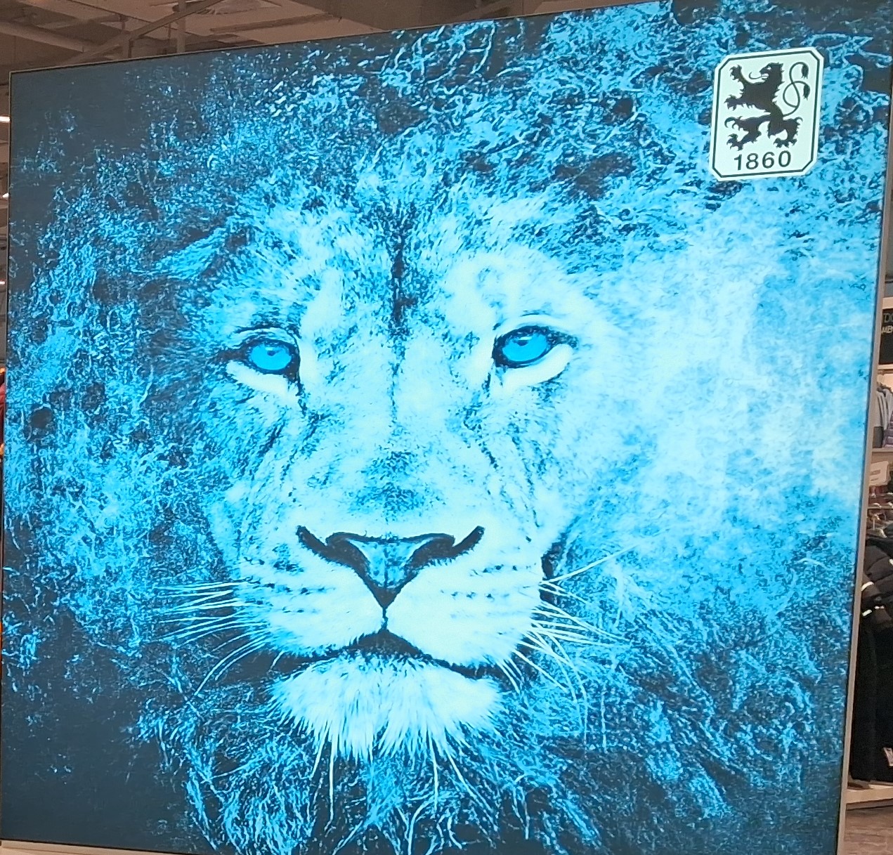 Fanwelt in der Galeria