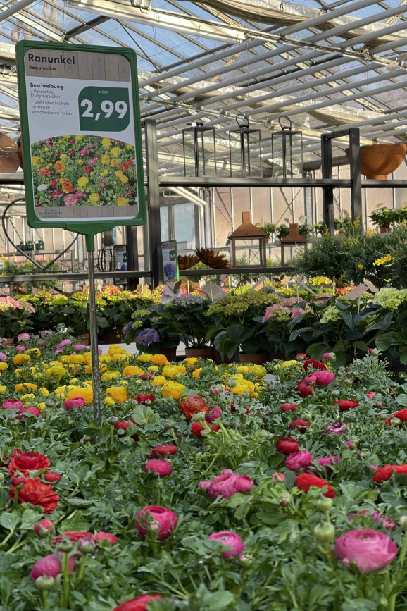 Gartencenter Rosenheim Shoppen & Bummeln rosenheim.jetzt
